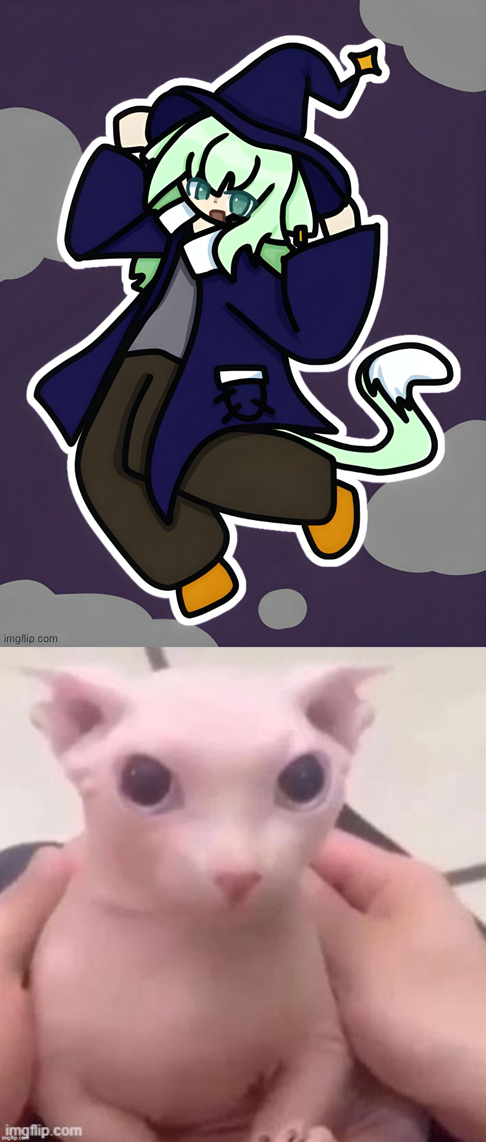 image tagged in witch neko drawn by cosmo,bingus | made w/ Imgflip meme maker