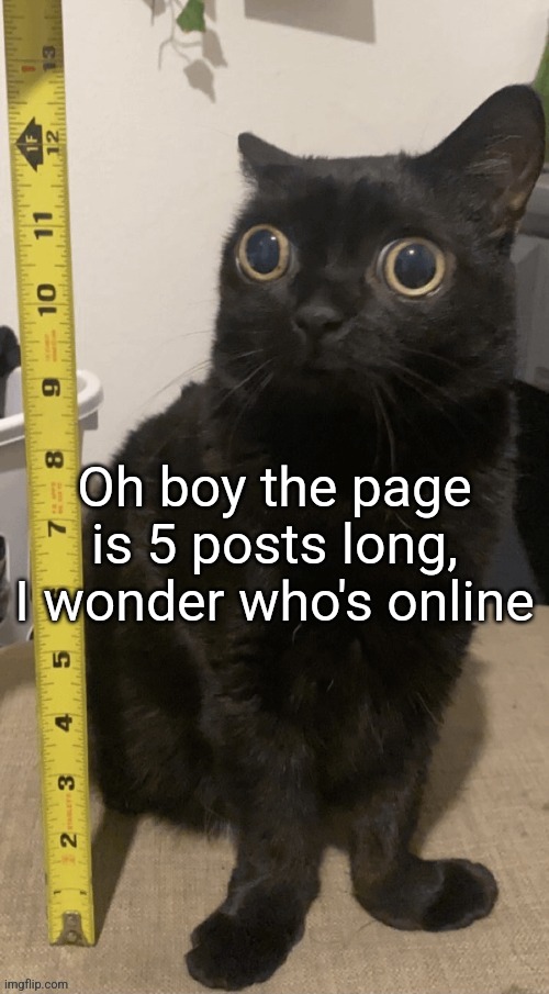 H | Oh boy the page is 5 posts long, I wonder who's online | image tagged in h | made w/ Imgflip meme maker