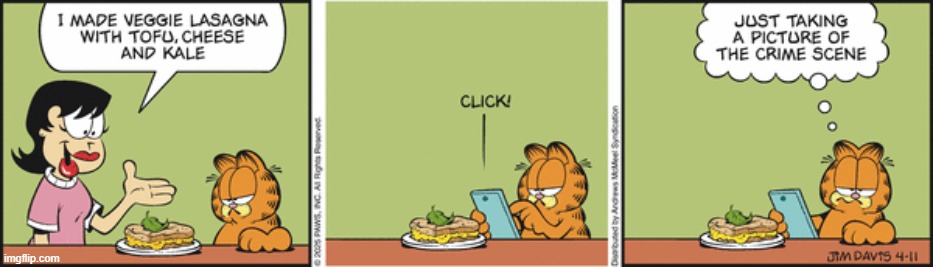 Garfield | image tagged in comics | made w/ Imgflip meme maker