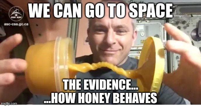 We can't go to space | WE CAN GO TO SPACE; THE EVIDENCE...
...HOW HONEY BEHAVES | image tagged in firmament,cgi,nasa,flat earth | made w/ Imgflip meme maker