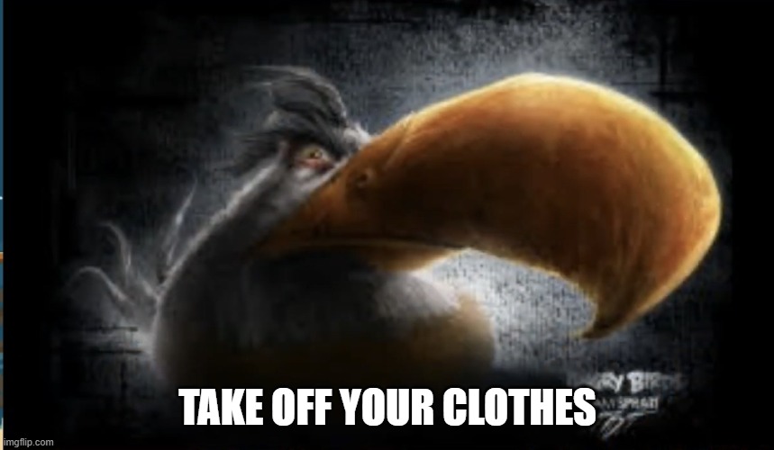 sexual harrasment | TAKE OFF YOUR CLOTHES | image tagged in realistic mighty eagle | made w/ Imgflip meme maker