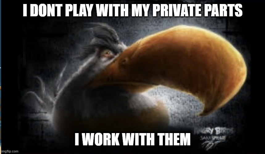 johnny johhny | I DONT PLAY WITH MY PRIVATE PARTS; I WORK WITH THEM | image tagged in realistic mighty eagle | made w/ Imgflip meme maker