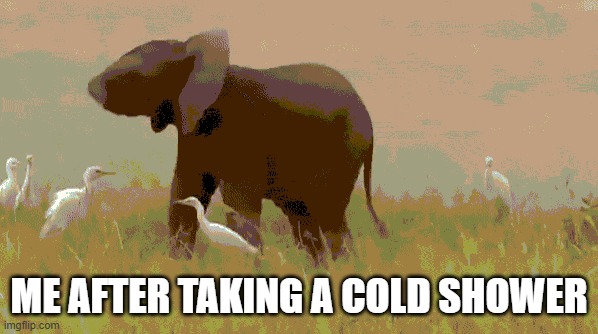 ME AFTER TAKING A COLD SHOWER | image tagged in shower | made w/ Imgflip meme maker