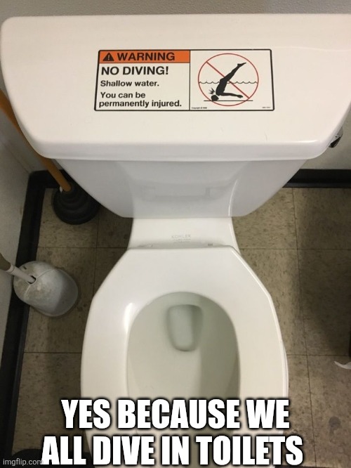 Yes Because We All Dive In Toilets | YES BECAUSE WE ALL DIVE IN TOILETS | image tagged in chrisjoines1 | made w/ Imgflip meme maker