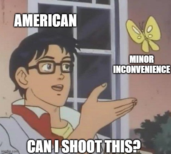 American | AMERICAN; MINOR INCONVENIENCE; CAN I SHOOT THIS? | image tagged in is this butterfly | made w/ Imgflip meme maker