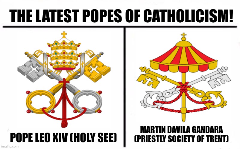 Who Would Win Blank | THE LATEST POPES OF CATHOLICISM! MARTIN DAVILA GANDARA (PRIESTLY SOCIETY OF TRENT); POPE LEO XIV (HOLY SEE) | image tagged in memes,catholic,pope | made w/ Imgflip meme maker