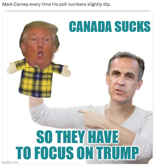 Canada needs to focus on their poor management | CANADA SUCKS; SO THEY HAVE TO FOCUS ON TRUMP | image tagged in oh canada,focus on your poor management | made w/ Imgflip meme maker