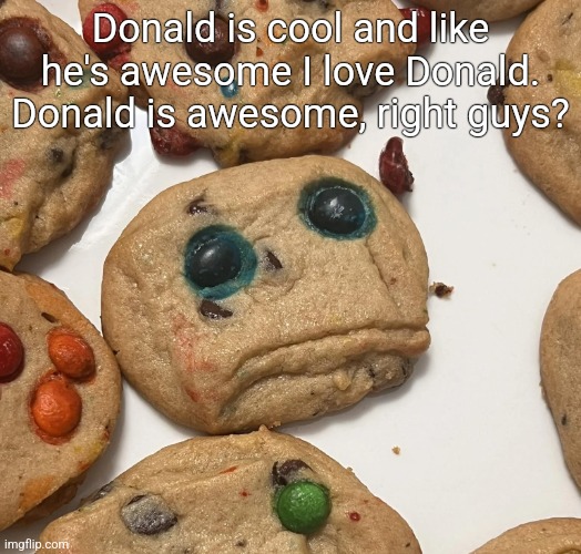 Sad cookie | Donald is cool and like he's awesome I love Donald. Donald is awesome, right guys? | image tagged in sad cookie | made w/ Imgflip meme maker