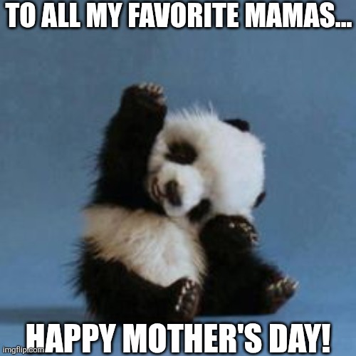 To All My Favorite Mamas Happy Mother's Day! | TO ALL MY FAVORITE MAMAS... HAPPY MOTHER'S DAY! | image tagged in chrisjoines1 | made w/ Imgflip meme maker