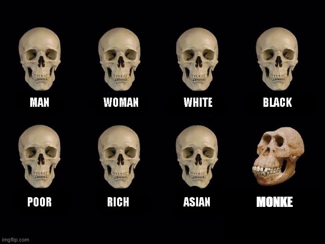 Monke | MONKE | image tagged in empty skulls of truth | made w/ Imgflip meme maker