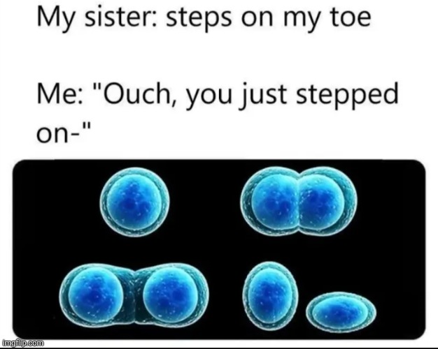 If you don't get it: Mitosis = My toe sis | made w/ Imgflip meme maker