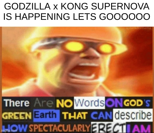 there are no words on god's green earth | GODZILLA x KONG SUPERNOVA IS HAPPENING LETS GOOOOOO | image tagged in there are no words on god's green earth | made w/ Imgflip meme maker