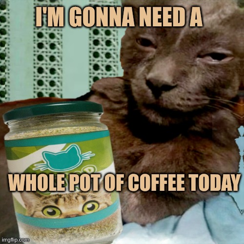 Coffee | I'M GONNA NEED A; WHOLE POT OF COFFEE TODAY | image tagged in shit poster 4 lyfe,coffee,giant coffee,catnip,i should buy a boat cat,i need it | made w/ Imgflip meme maker