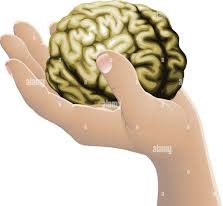 Brain Blank Meme Template