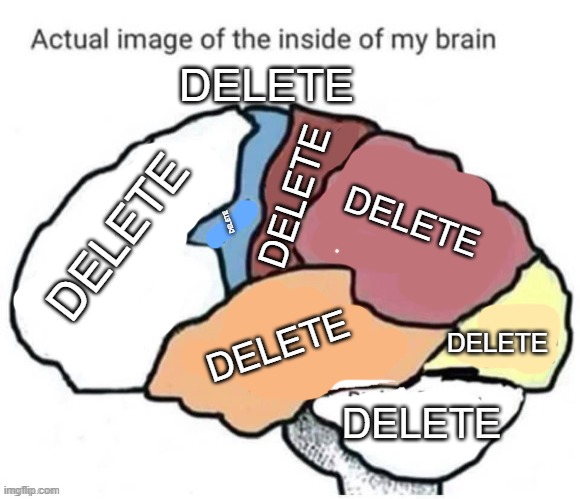 actual image of the inside of my brain | DELETE DELETE DELETE DELETE DELETE DELETE DELETE DELETE | image tagged in actual image of the inside of my brain | made w/ Imgflip meme maker