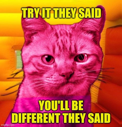 Pink Ray Cat | TRY IT THEY SAID; YOU'LL BE DIFFERENT THEY SAID | image tagged in pink ray cat,chemistry cat,rainbow hair and goth,pink,the furry fandom,and now for something completely different | made w/ Imgflip meme maker