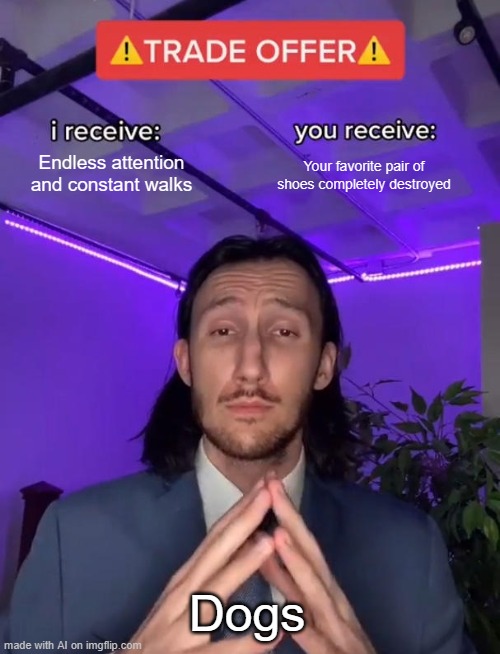 ai meme | Endless attention and constant walks; Your favorite pair of shoes completely destroyed; Dogs | image tagged in trade offer | made w/ Imgflip meme maker