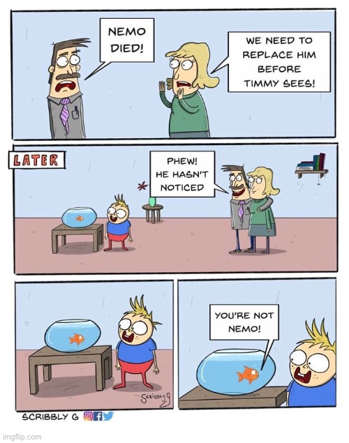 image tagged in comics,fish,boy | made w/ Imgflip meme maker