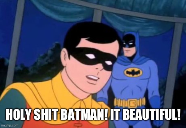Holy _______, Batman! | HOLY SHIT BATMAN! IT BEAUTIFUL! | image tagged in holy _______ batman | made w/ Imgflip meme maker