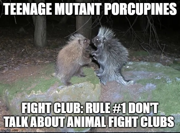 Teenage Mutant Porcupines | TEENAGE MUTANT PORCUPINES; FIGHT CLUB: RULE #1 DON'T TALK ABOUT ANIMAL FIGHT CLUBS | image tagged in teenage mutant porcupines | made w/ Imgflip meme maker
