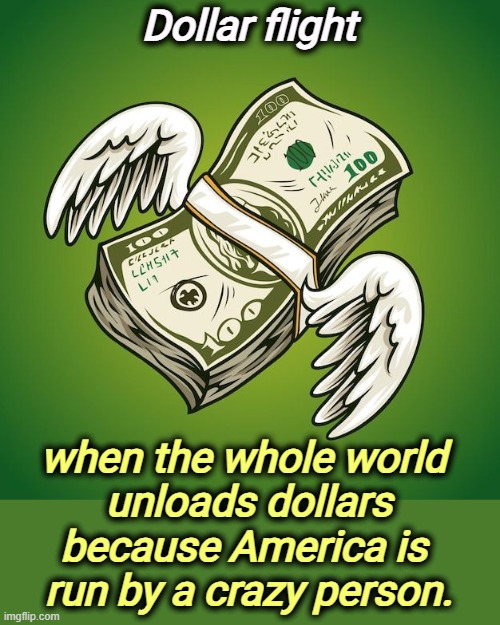 Dollar flight, when the whole world unloads dollars because Trump is a wingnut you can't do business with. | Dollar flight; when the whole world 
unloads dollars because America is 
run by a crazy person. | image tagged in dollar flight when the whole world unloads because of trump,dollars,america,trump,crazy | made w/ Imgflip meme maker