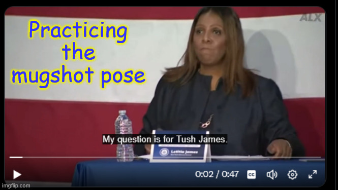 Mugshot... coming up | Practicing the mugshot pose | image tagged in letitia james,real estate fraud,accused trump of what she did | made w/ Imgflip meme maker