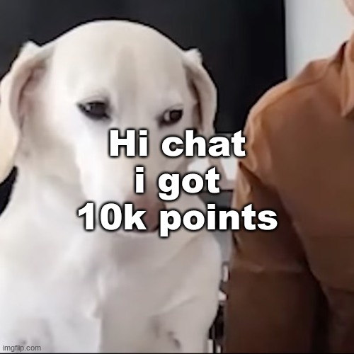 uh | Hi chat i got 10k points | image tagged in uh | made w/ Imgflip meme maker