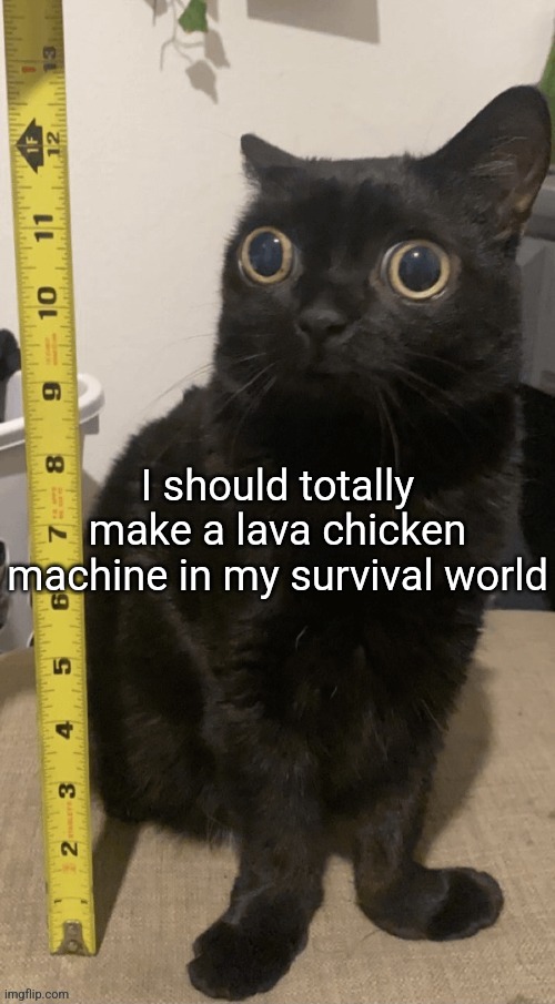 H | I should totally make a lava chicken machine in my survival world | image tagged in h | made w/ Imgflip meme maker