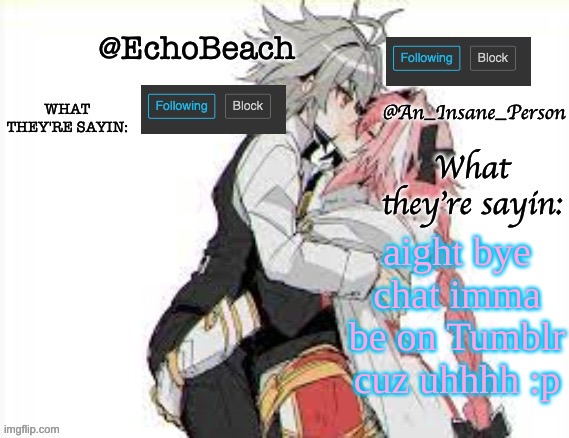 EchoBeach and InsanePerson shared temp :3 | aight bye chat imma be on Tumblr cuz uhhhh :p | image tagged in echobeach and insaneperson shared temp 3 | made w/ Imgflip meme maker