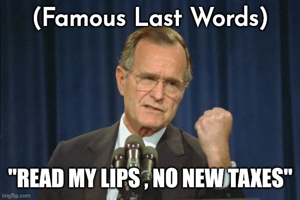 George Bush Gather | (Famous Last Words) "READ MY LIPS , NO NEW TAXES" | image tagged in george bush gather | made w/ Imgflip meme maker