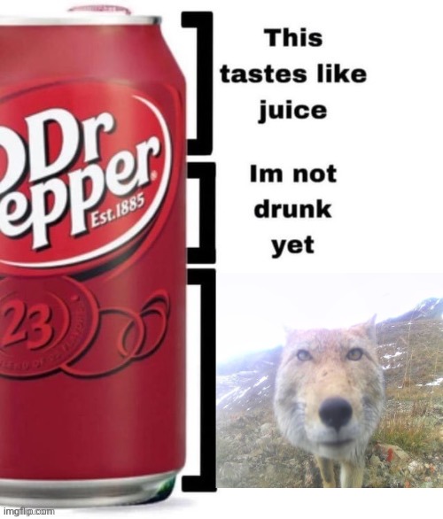 Dr Pepper | made w/ Imgflip meme maker