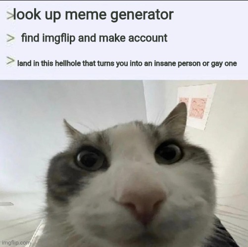 Cat looks inside | look up meme generator; find imgflip and make account; land in this hellhole that turns you into an insane person or gay one | image tagged in cat looks inside | made w/ Imgflip meme maker