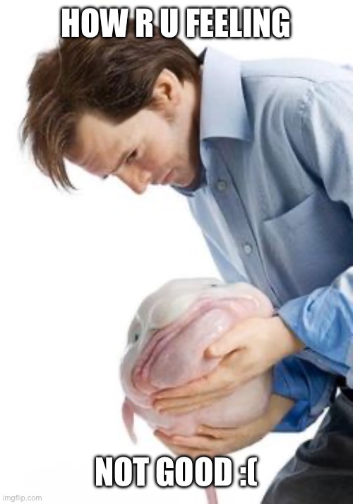 sad reality | HOW R U FEELING; NOT GOOD :( | image tagged in man holding blobfish | made w/ Imgflip meme maker