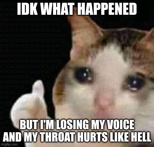 I blame allergies | IDK WHAT HAPPENED; BUT I'M LOSING MY VOICE AND MY THROAT HURTS LIKE HELL | image tagged in sad thumbs up cat | made w/ Imgflip meme maker