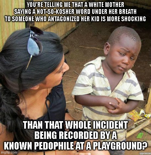 These judgments are just going to expand the racial divide, not bridge it. | YOU'RE TELLING ME THAT A WHITE MOTHER SAYING A NOT-SO-KOSHER WORD UNDER HER BREATH TO SOMEONE WHO ANTAGONIZED HER KID IS MORE SHOCKING; THAN THAT WHOLE INCIDENT BEING RECORDED BY A KNOWN PEDOPHILE AT A PLAYGROUND? | image tagged in black kid | made w/ Imgflip meme maker