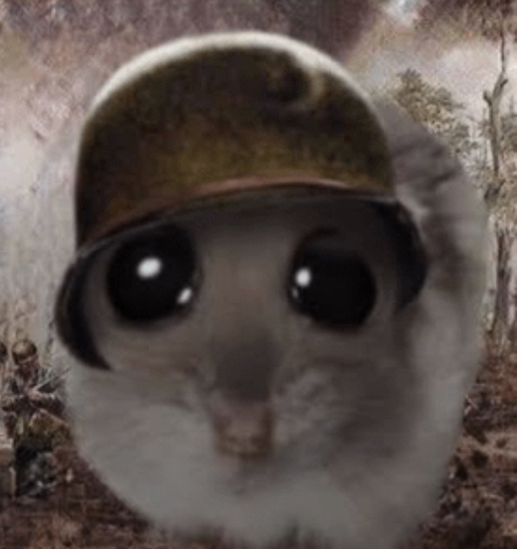 Sad war hampter Blank Meme Template