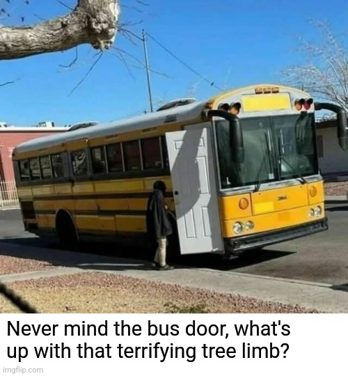 Knock, knock? | Never mind the bus door, what's up with that terrifying tree limb? | image tagged in school bus,door,weird,tree,wtf | made w/ Imgflip meme maker