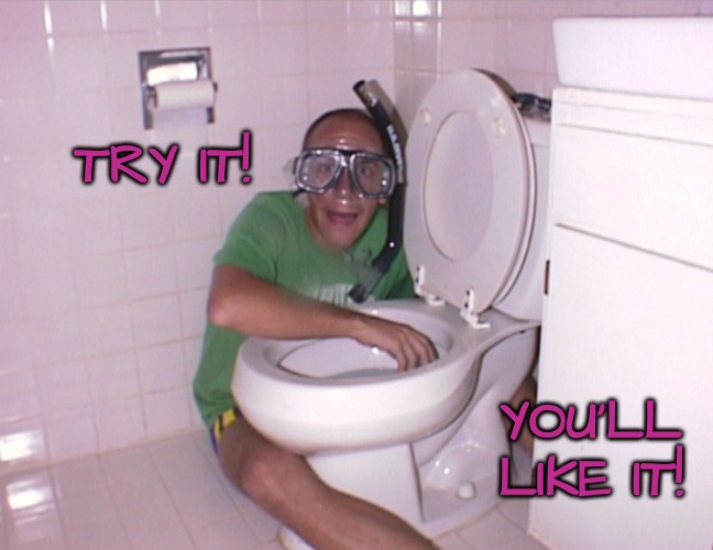 TRY IT! YOU'LL LIKE IT! | made w/ Imgflip meme maker