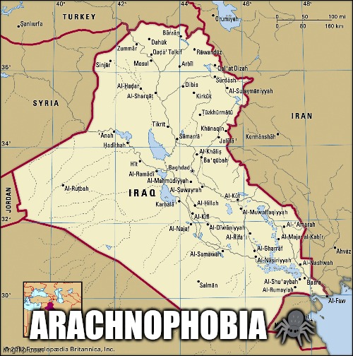 Scary | ARACHNOPHOBIA 🕷️ | image tagged in spiders | made w/ Imgflip meme maker