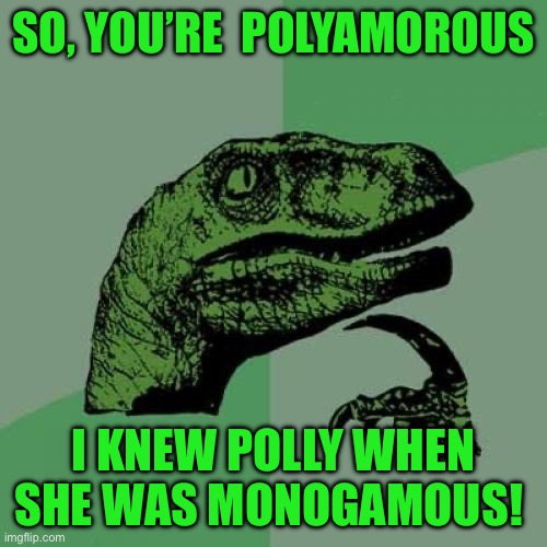 Philosoraptor | SO, YOU’RE  POLYAMOROUS; I KNEW POLLY WHEN SHE WAS MONOGAMOUS! | image tagged in memes,philosoraptor | made w/ Imgflip meme maker