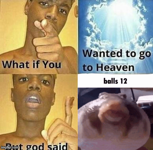 What if you wanted to go to Heaven | image tagged in what if you wanted to go to heaven | made w/ Imgflip meme maker