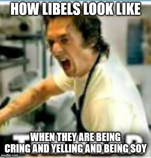 liberal | HOW LIBELS LOOK LIKE; WHEN THEY ARE BEING CRING AND YELLING AND BEING SOY | image tagged in liberal logic | made w/ Imgflip meme maker