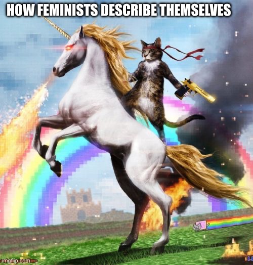Welcome To The Internets | HOW FEMINISTS DESCRIBE THEMSELVES | image tagged in memes,welcome to the internets | made w/ Imgflip meme maker