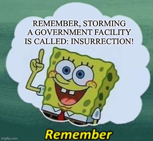 Remember | REMEMBER, STORMING A GOVERNMENT FACILITY IS CALLED: INSURRECTION! | image tagged in remember | made w/ Imgflip meme maker