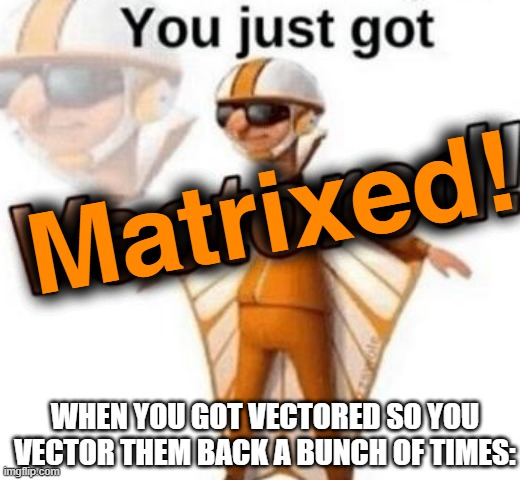 You just got Matrixed! | Matrixed! WHEN YOU GOT VECTORED SO YOU VECTOR THEM BACK A BUNCH OF TIMES: | image tagged in you just got vectored | made w/ Imgflip meme maker