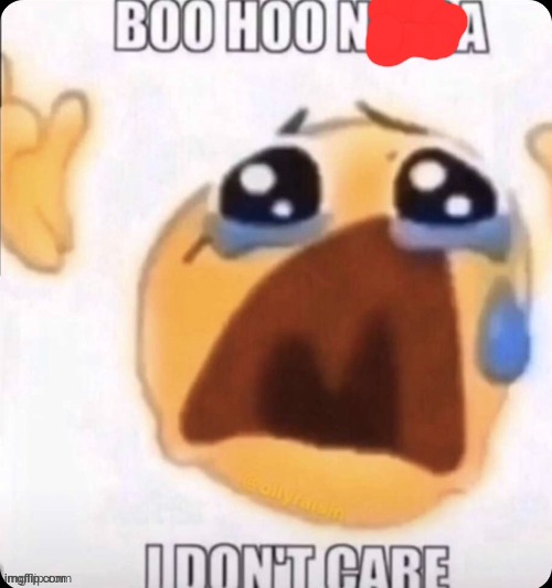 boo hoo | image tagged in boo hoo | made w/ Imgflip meme maker
