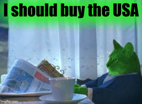 I Should Buy a Boat RayCat | I should buy the USA | image tagged in i should buy a boat raycat | made w/ Imgflip meme maker