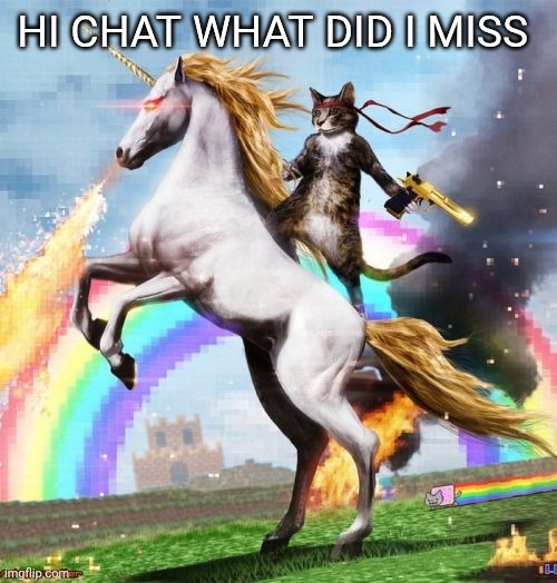 Welcome To The Internets Meme | HI CHAT WHAT DID I MISS | image tagged in memes,welcome to the internets | made w/ Imgflip meme maker