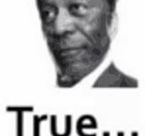 True... | image tagged in true | made w/ Imgflip meme maker