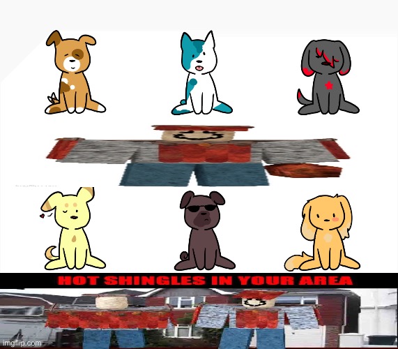 which one am i | image tagged in which one am i | made w/ Imgflip meme maker